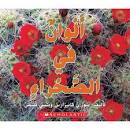 ألوان في الصحراء