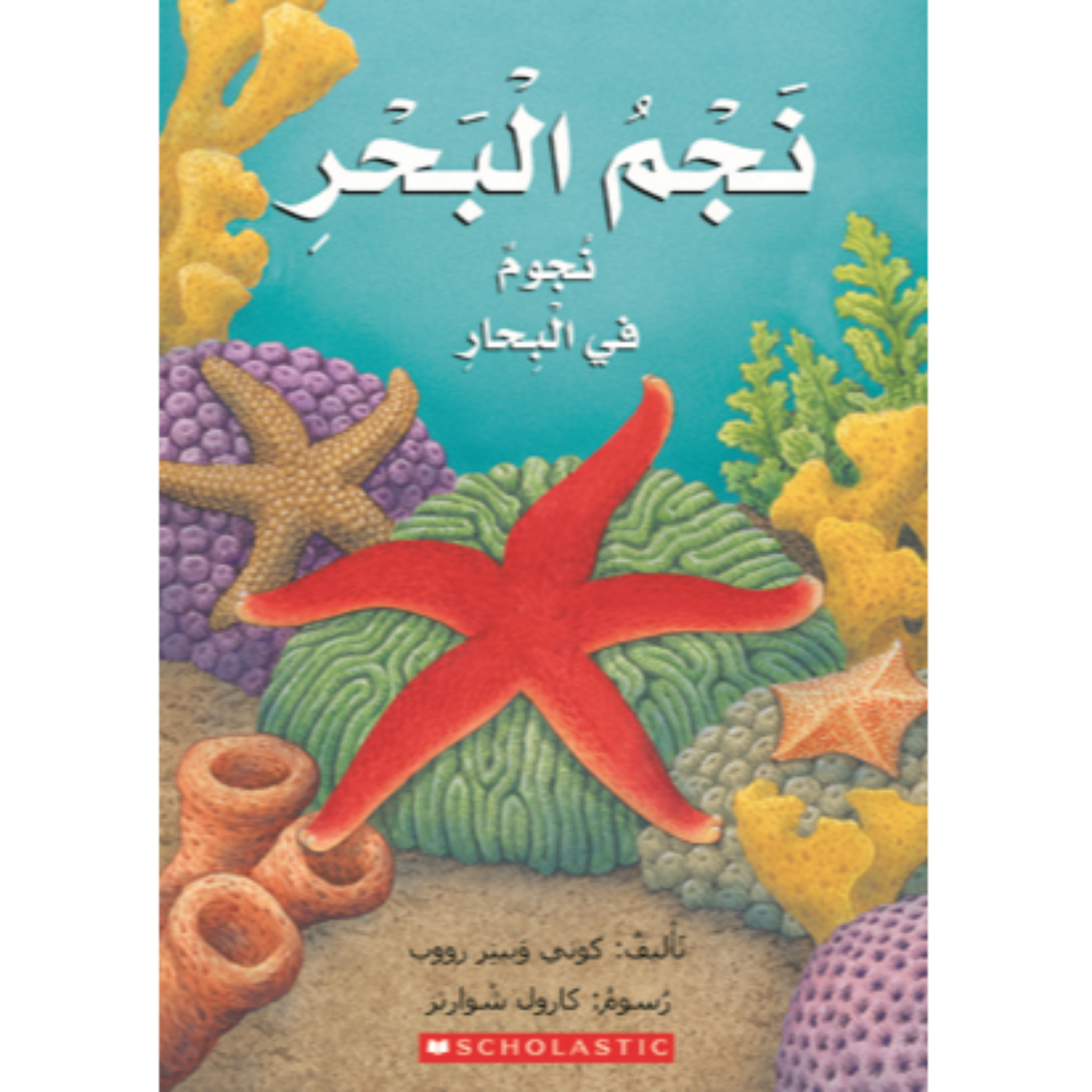 نجم البحر : نجوم في البحا