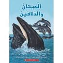 الحيتان و الدلافين