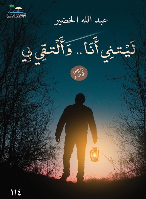 ليتني أنا .. وألتقي بي