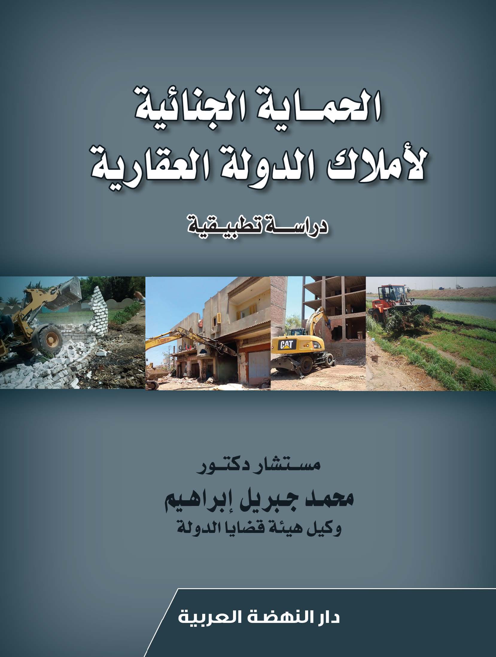 الحماية الجنائية لاملاك الدولة العقارية -دراسة تطبيقية