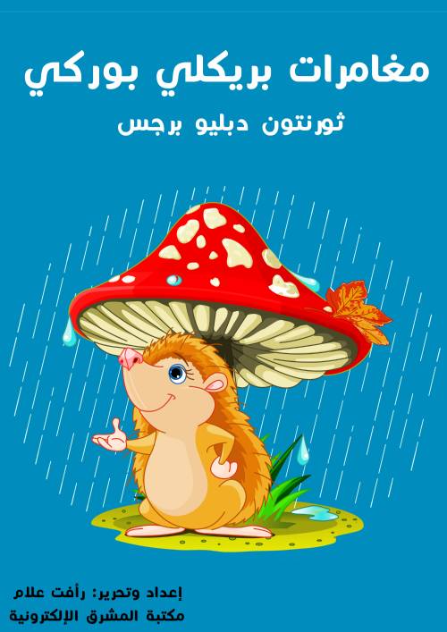 مُغَامَرَاتُ بريكلي بوركي