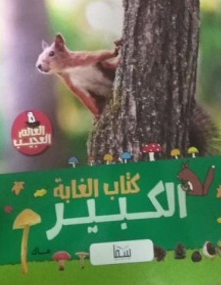 كتاب الغابة الكبير