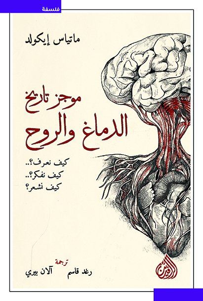 سوسيولوجيا المجتمع العراقي ما بعد 2003