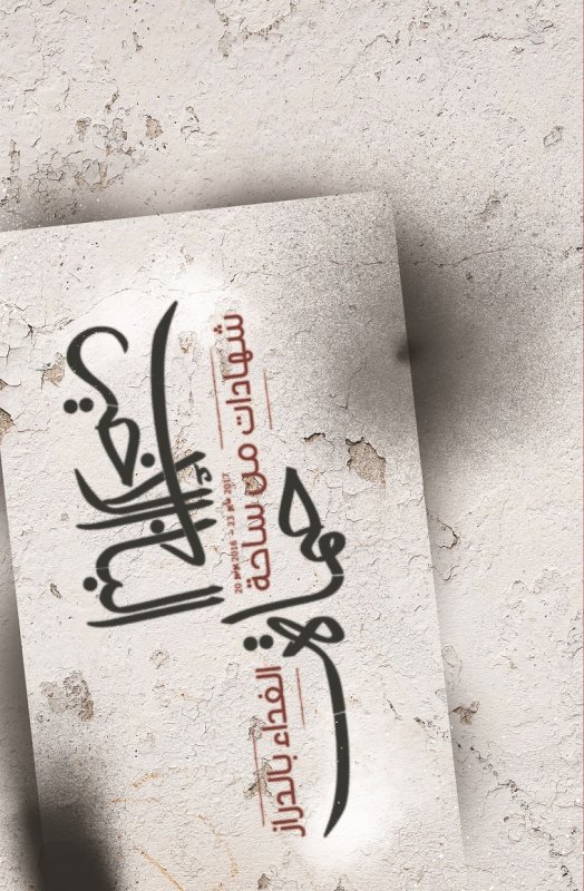 حماة الباب الأخير: شهادات من ساحة الفداء بالدراز خلال الفترة (20 يونيو 2016 - 23 مايو 2017)