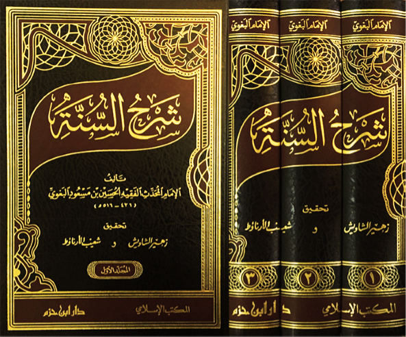 شرح السنة 1 - 3 : شاموا ـ لونان