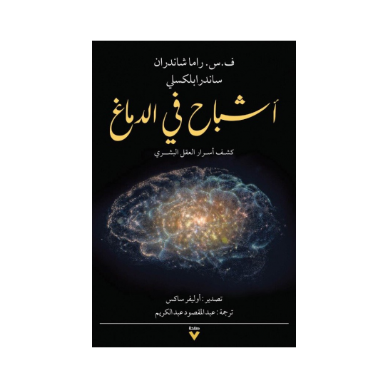 أشباح في الدماغ