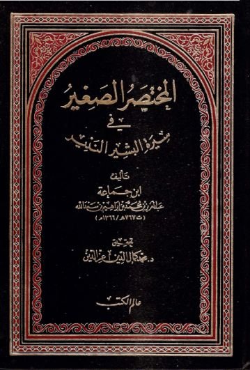 المختصر الصغير في سيرة البشير النذير