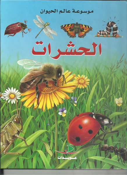 الحشرات