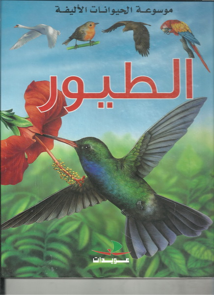 الطيور