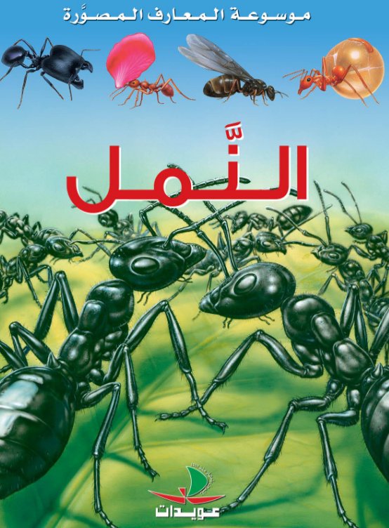 النمل