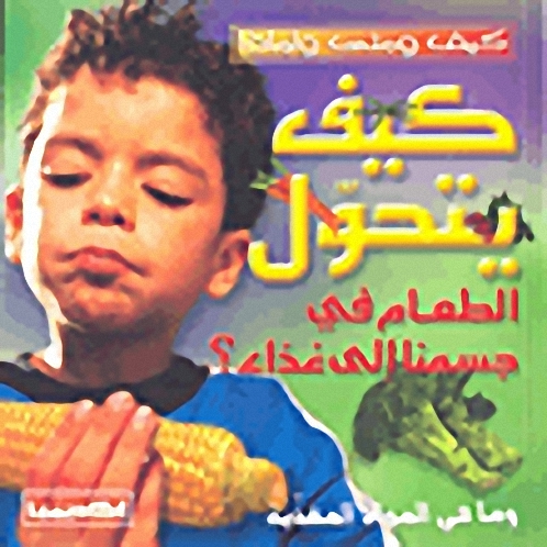 كيف يتحول الطعام في جسمنا إلى غذاء؟ و ما هي المواد المغذية