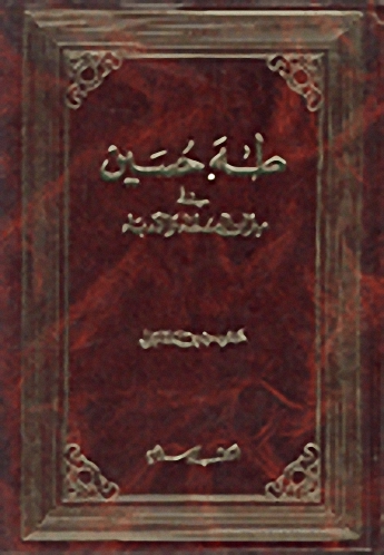 طه حسين في ميزان العلماء والأدباء