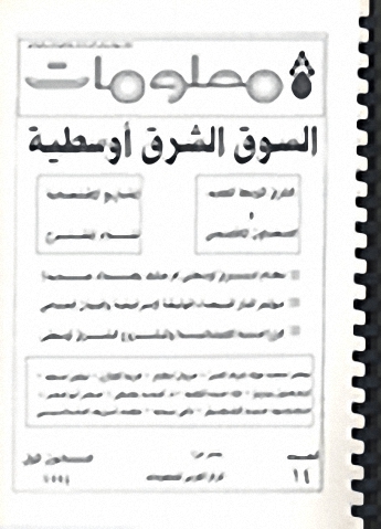 السوق الشرق أوسطية - العدد 14