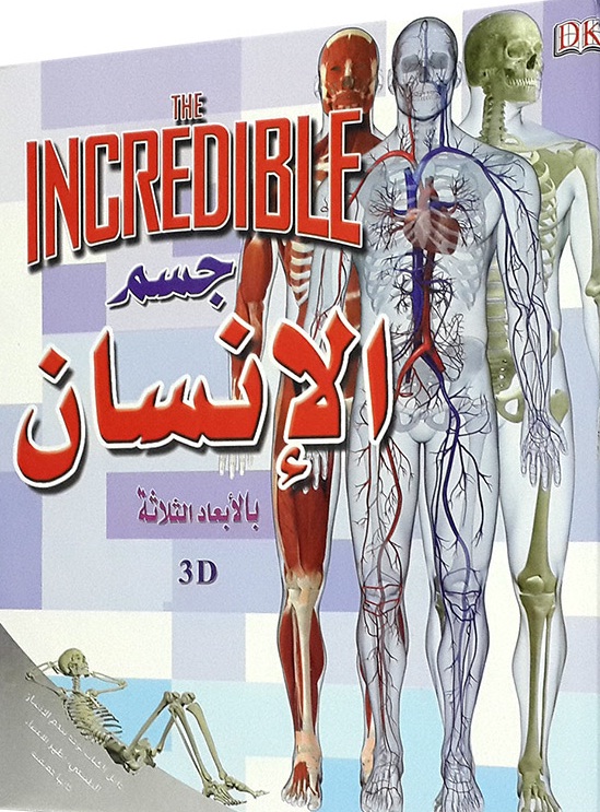 جسم الإنسان بالأبعاد الثلاثة
