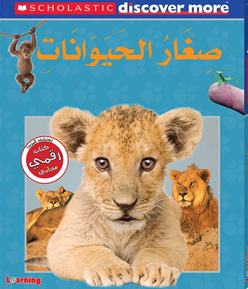 صغار الحيوانات