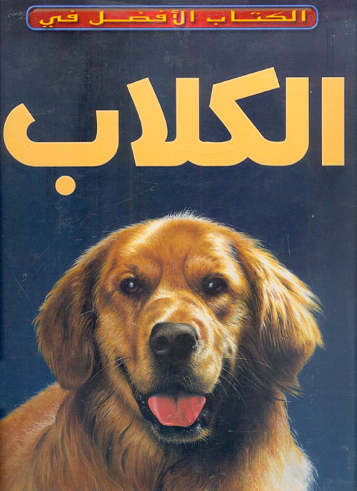 البحث النوعي في التربية