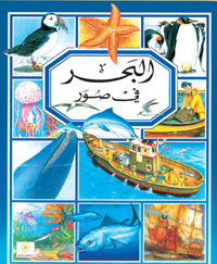البحر في صور
