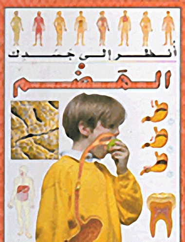 الهضم