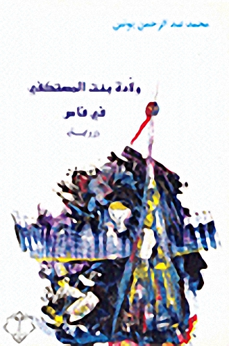 ولادة بنت المستكفي في فاس : رواية