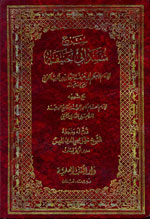 شرح مسند أبي حنيفة