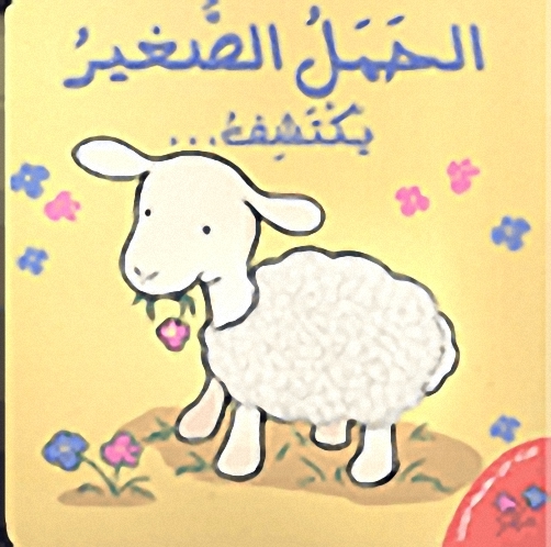 الحمل الصغير يكتشف...