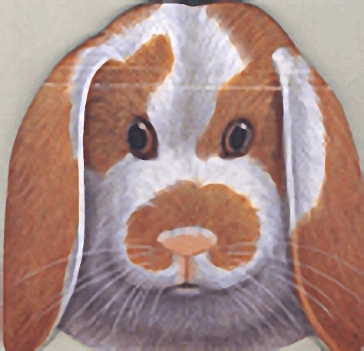 وجوه الحيوانات - الأرنب
