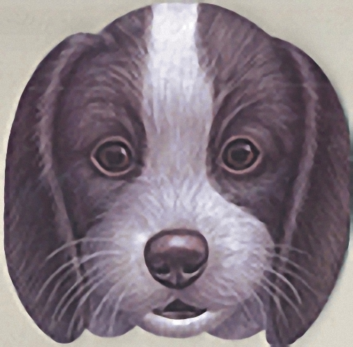 وجوه الحيوانات - الكلب