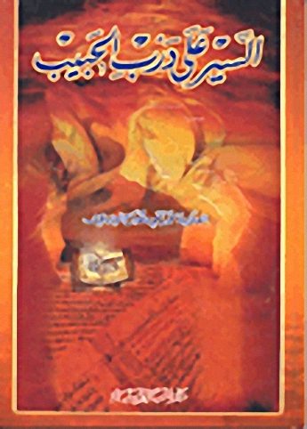 السير على درب الحبيب