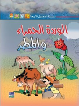 الوردة الحمراء والمطر