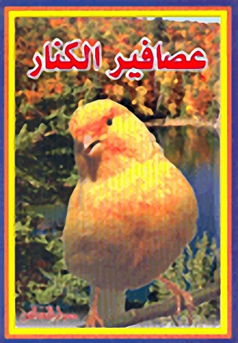 عصافير الكنار