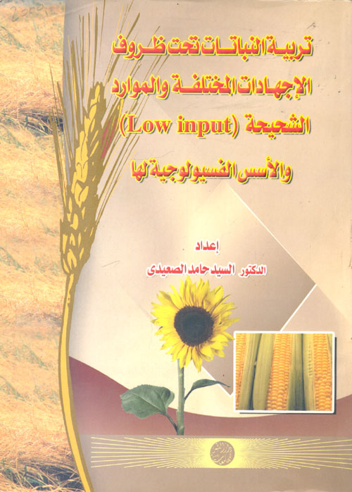 التفكير التأملى