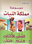 البلاغة الثائرة خطاب الربيع العربي ؛ عناصر التشكل ووظائف التأثير