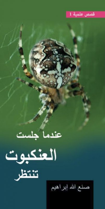 عندما جلست العنكبوت تنتظر