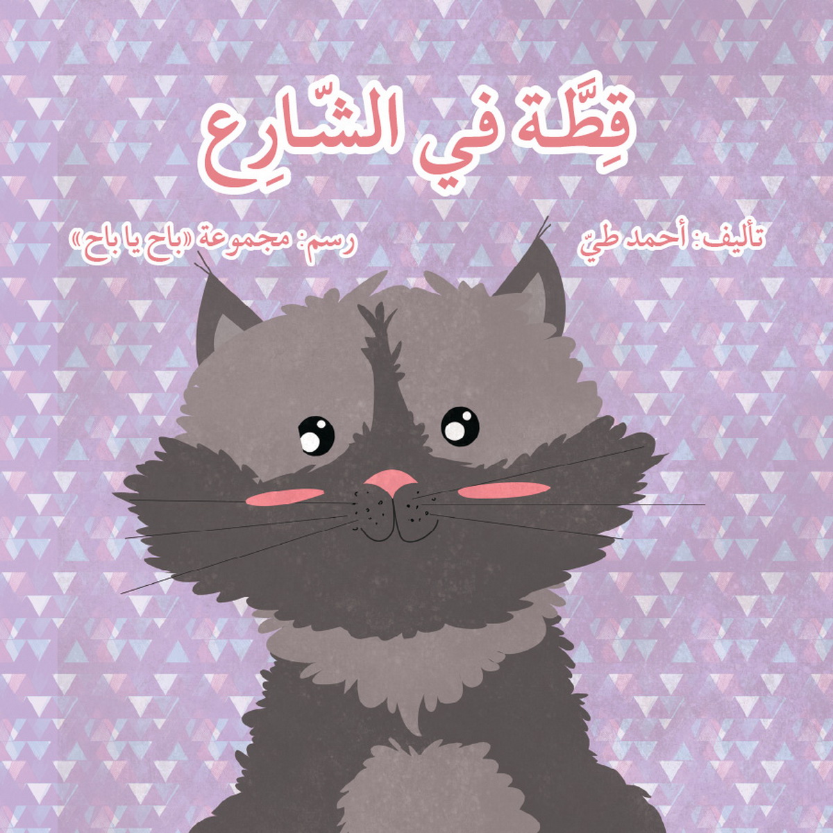 قطة في الشارع