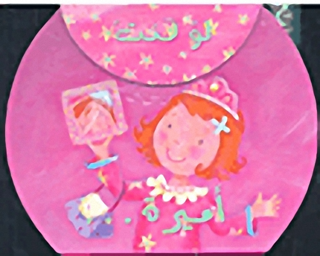 لو كنت أميرة