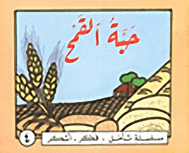 حبة القمح