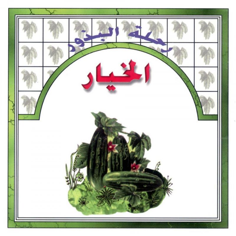 رحلة البذور : الخيار