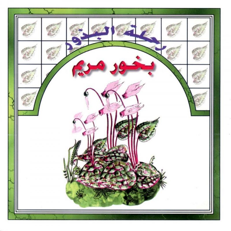 رحلة البذور : بخور مريم