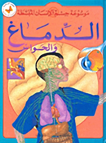 الدماغ والحواس