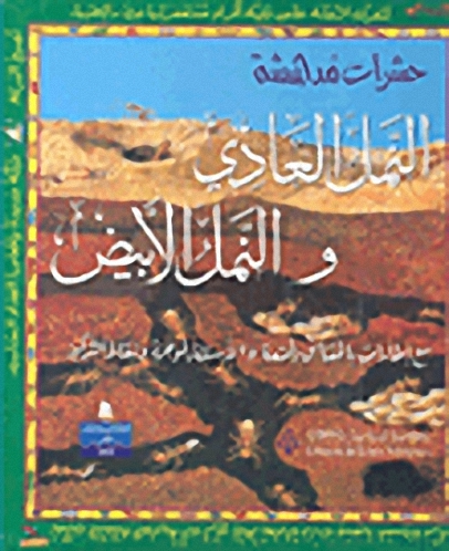 النمل العادي والنمل الأبيض. مع إطارات بالحقائق الممتعة والأسئلة الموجزة ونقاط التركيز