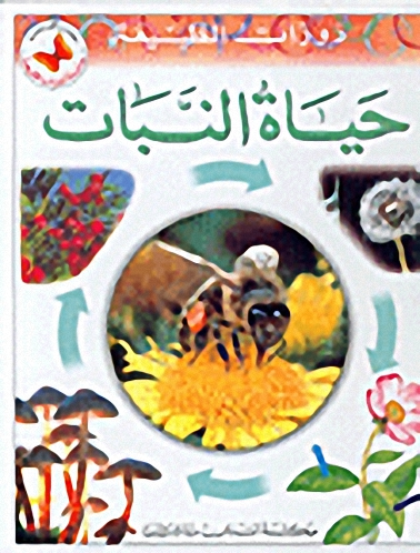 حياة النبات