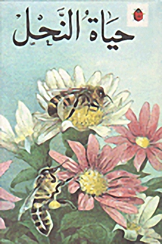 حياة النحل
