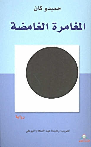 المغامرة الغامضة : رواية