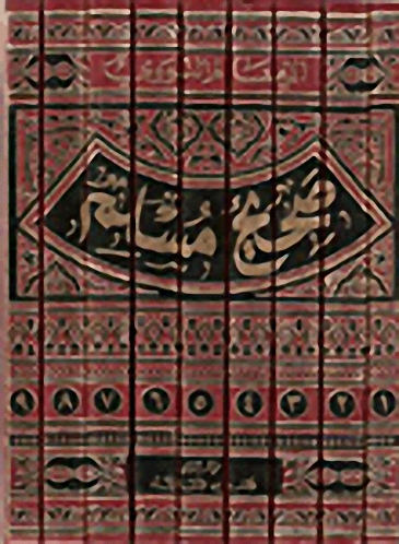 شرح صحيح مسلم : للنووي