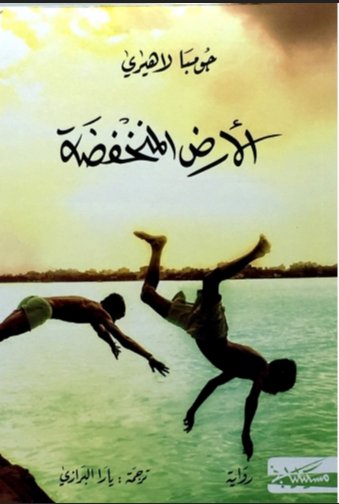 الأرض المنخفضة