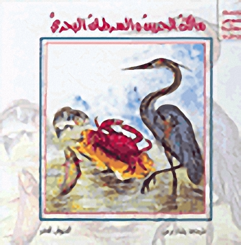 مالك الحزين والسرطان البحري