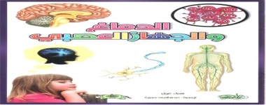 الدماغ والجهاز العصبي