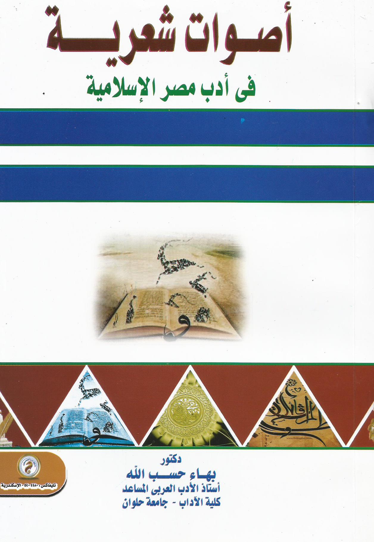 أصوات شعرية في أدب مصر الإسلامية