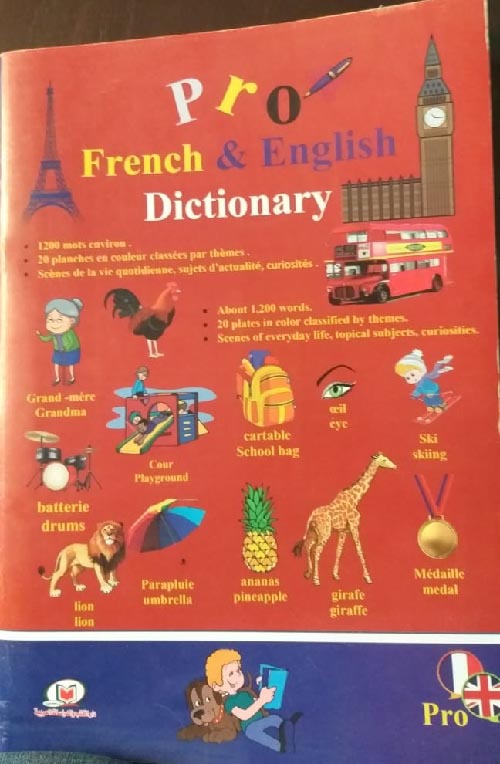 PRO FRENCH & ENGLISH DICTIONARY